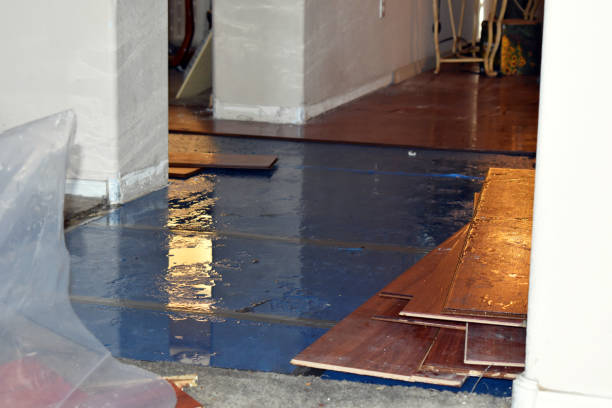 Professional Burst Pipe Cleanup technician working in Highlands, CA